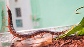 Conservation Station®